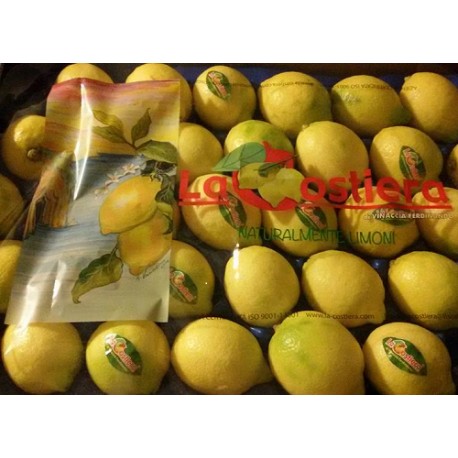 Limoni freschi di Sorrento Produzione Sorrentina da 1 kg